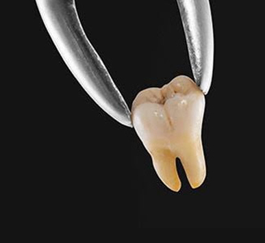 Serivce Image
