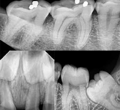 Serivce Image